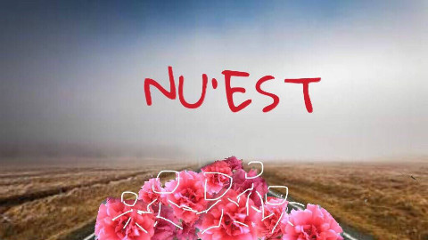NUEST现场打歌合集